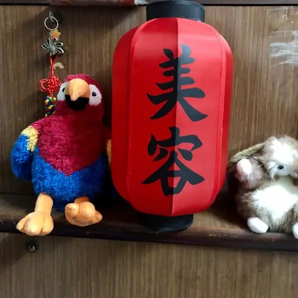 Đèn kiểu Nhật Bản DL849377