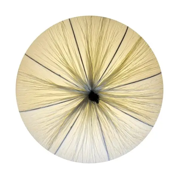 Đèn Thả Trang Trí 79202 Đèn Thả Trang Trí 79202 — đèn lồng thủ công Việt Nam | LongDenViet