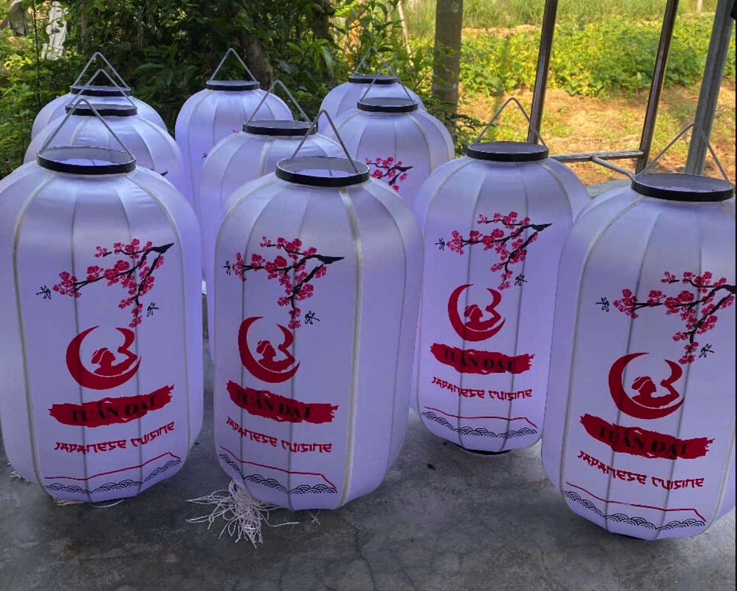 65 Đèn Lồng Trang Trí - Longdenviet®