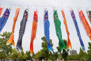 28 Co-ca-chep-nhat-ban-seo22