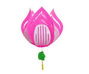 Longdenviet-den-long-nhua